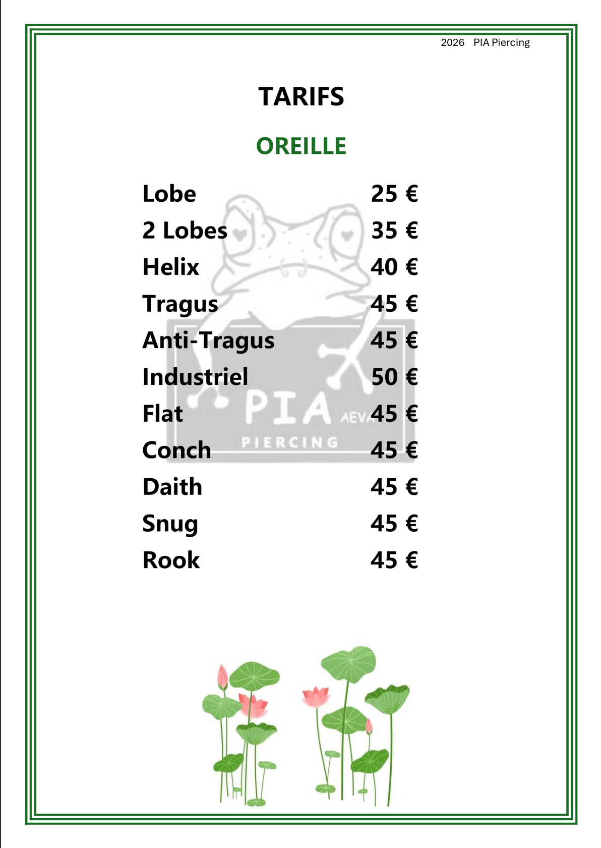 Tarifs Piercings Oreille et Visage